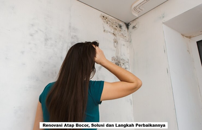 Renovasi Atap Bocor